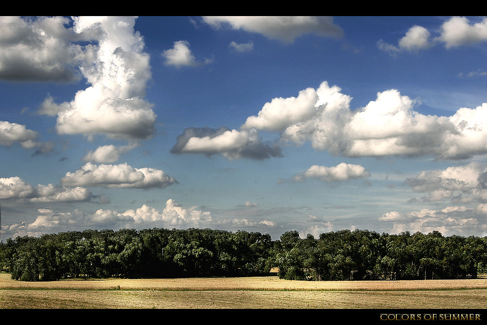 [ COLORS OF SUMMER ]