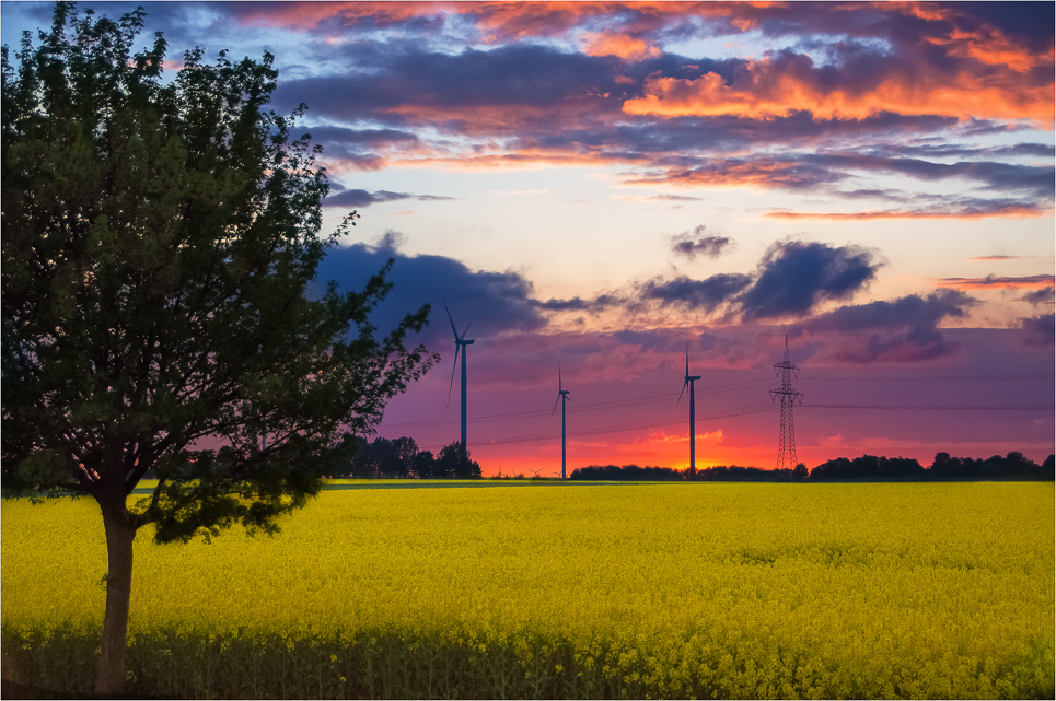 Colors of summer