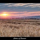 Colors of Summer - Sommerfarben