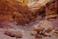 Colors of the Canyon 1