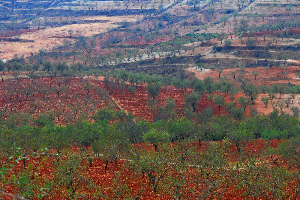 Colors of the Earth