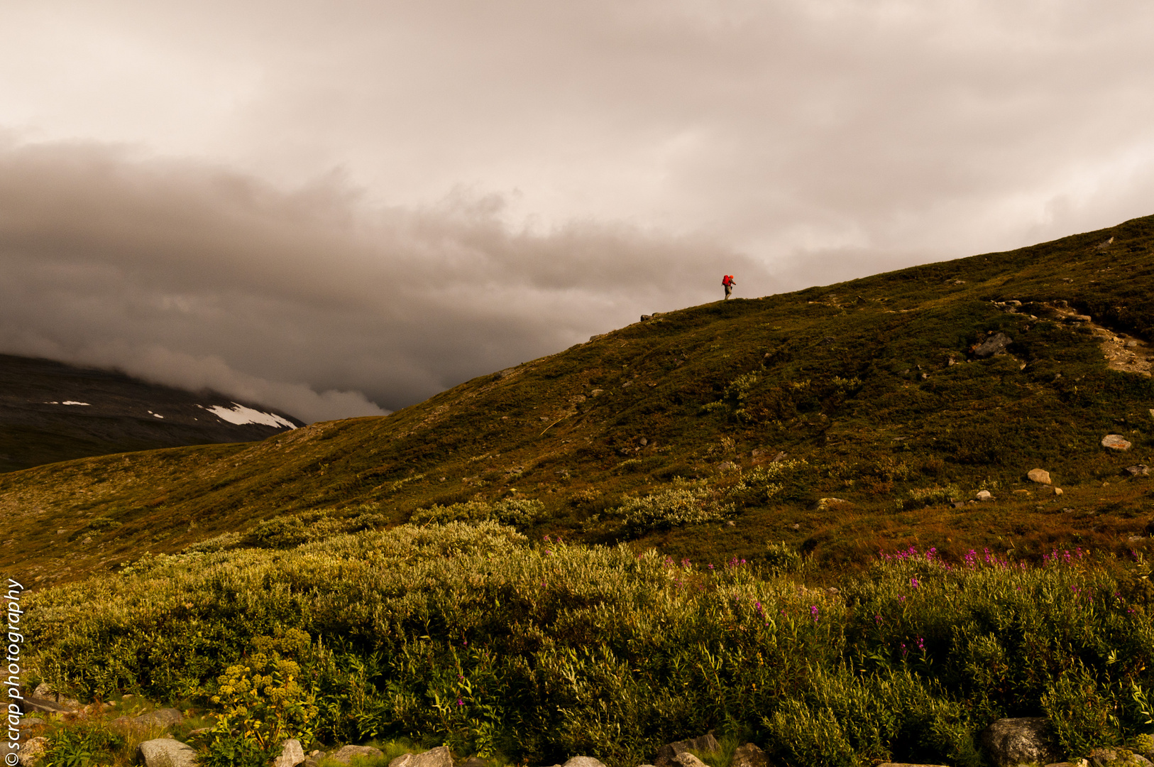 Colors of the Fjäll