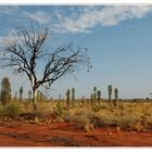 Colors of the outback