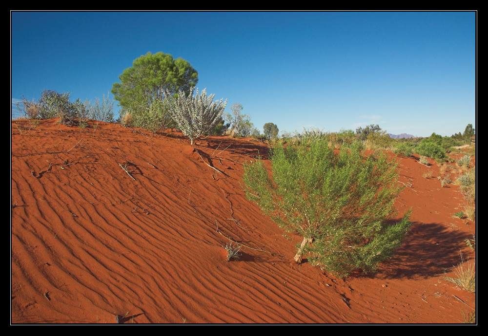 Colors of the Outback