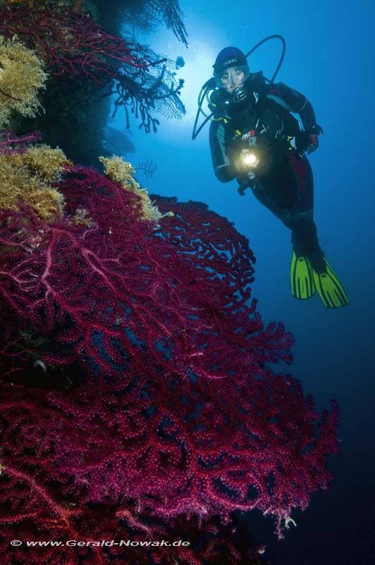 Colors of the Sea