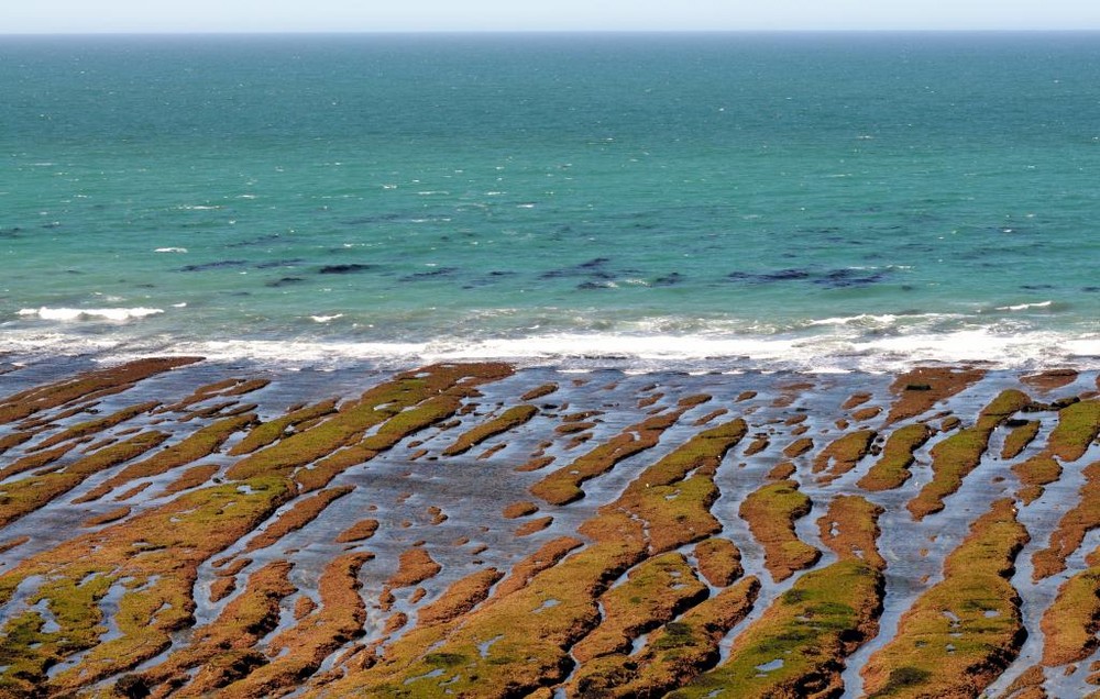 Colors of the Sea