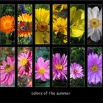 : : : colors of the summer : : :