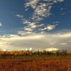 Colors of the Yukon