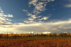 Colors of the Yukon