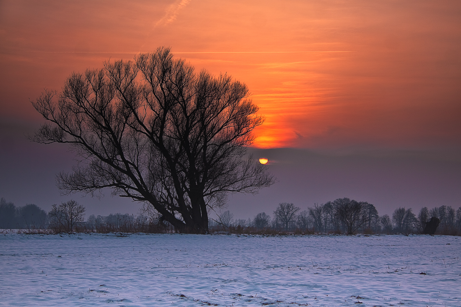 colors of winter