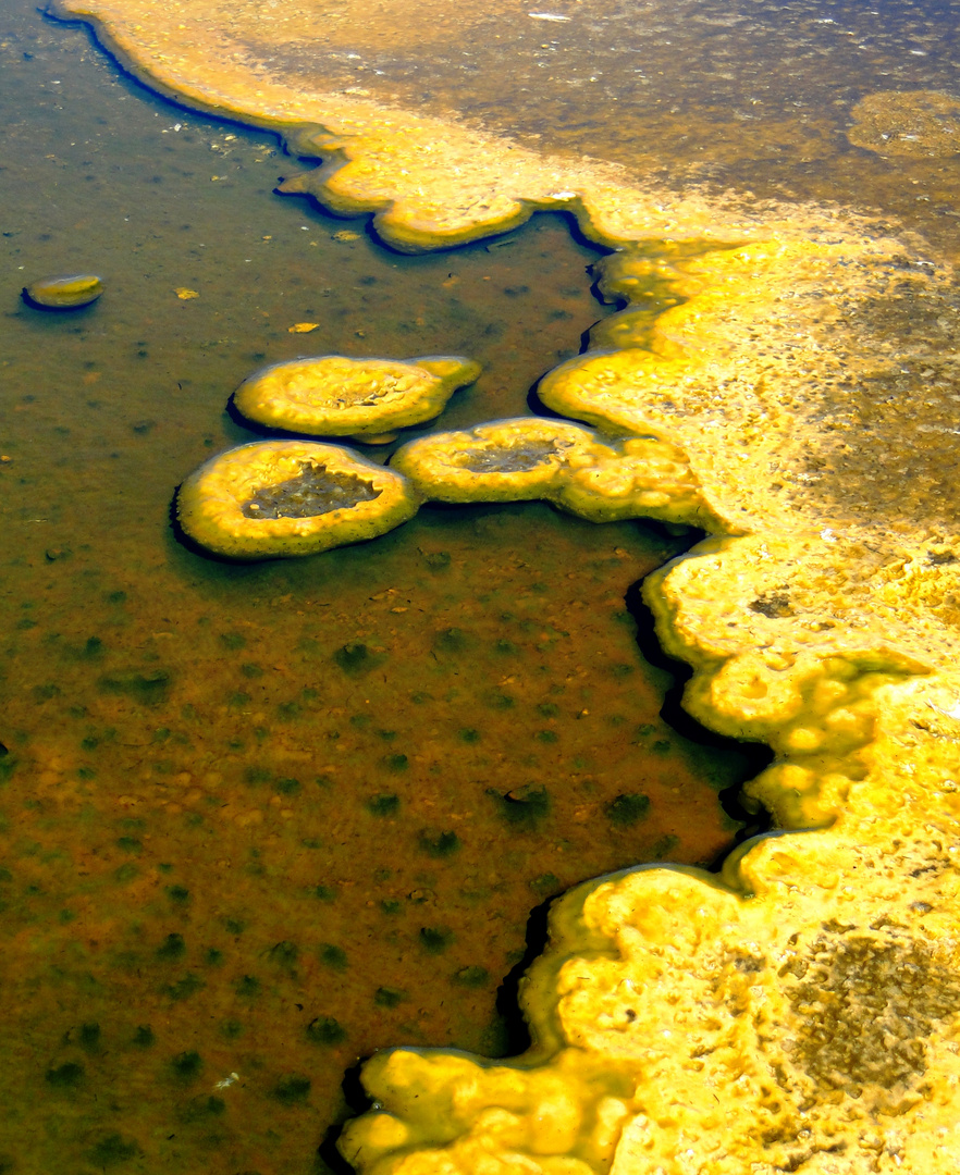 Colors of Yellowstone