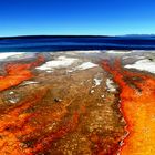 Colors of Yellowstone