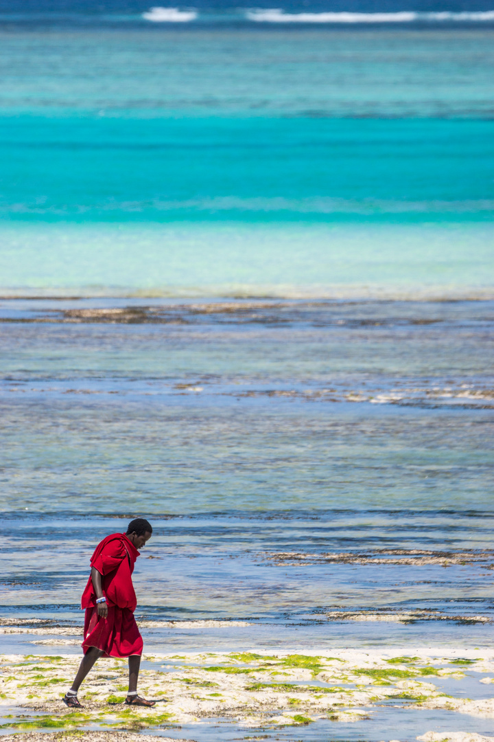 Colors of Zanzibar