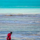 Colors of Zanzibar