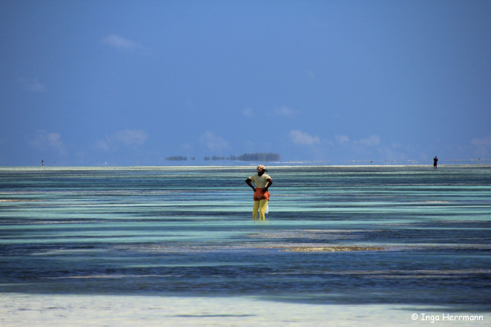 Colors of Zanzibar