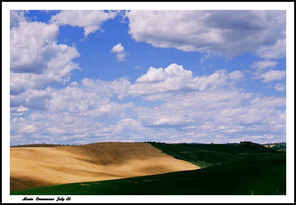 Colors under the clouds