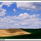 Colors under the clouds