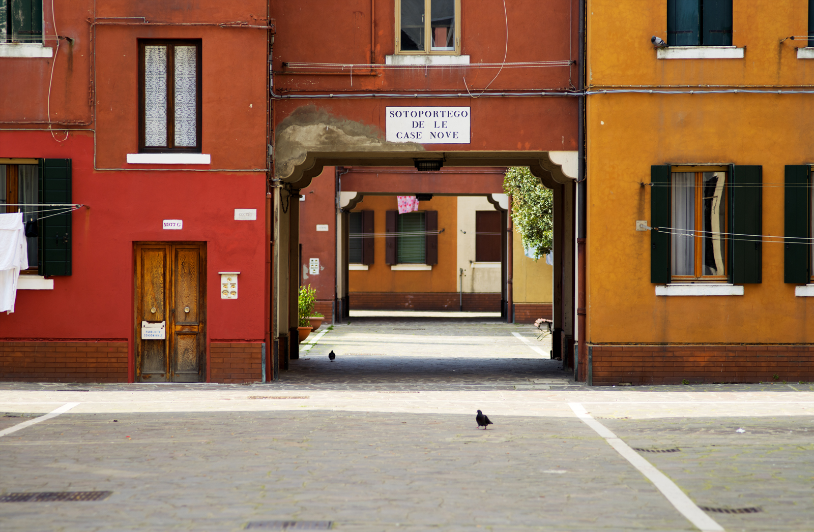 Colors [Venedig 2014]