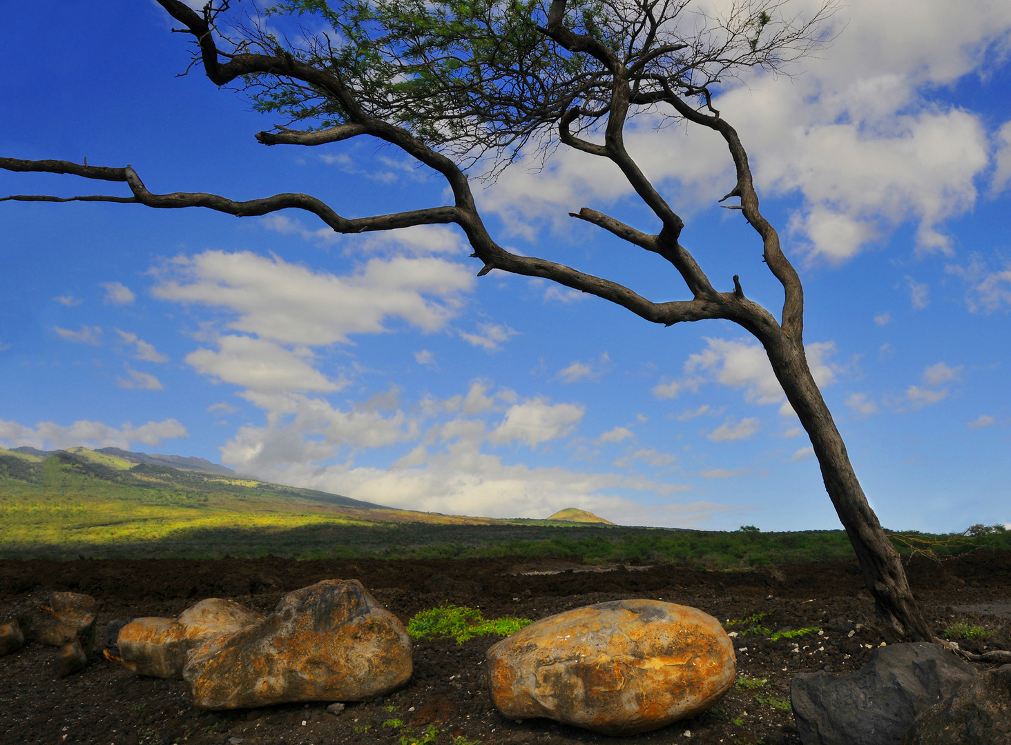 Colors, wind and lava rocks