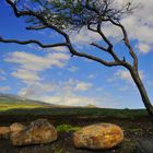 Colors, wind and lava rocks