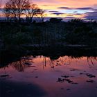 colors_of_autumn