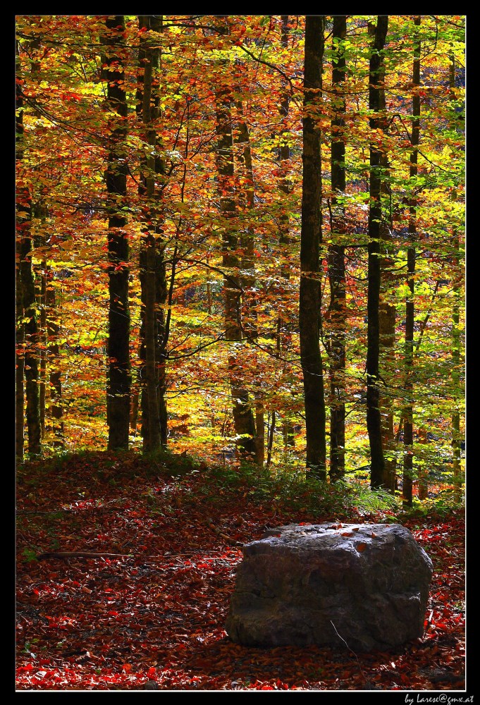 Color&Stone