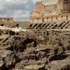 Coloseo Roma