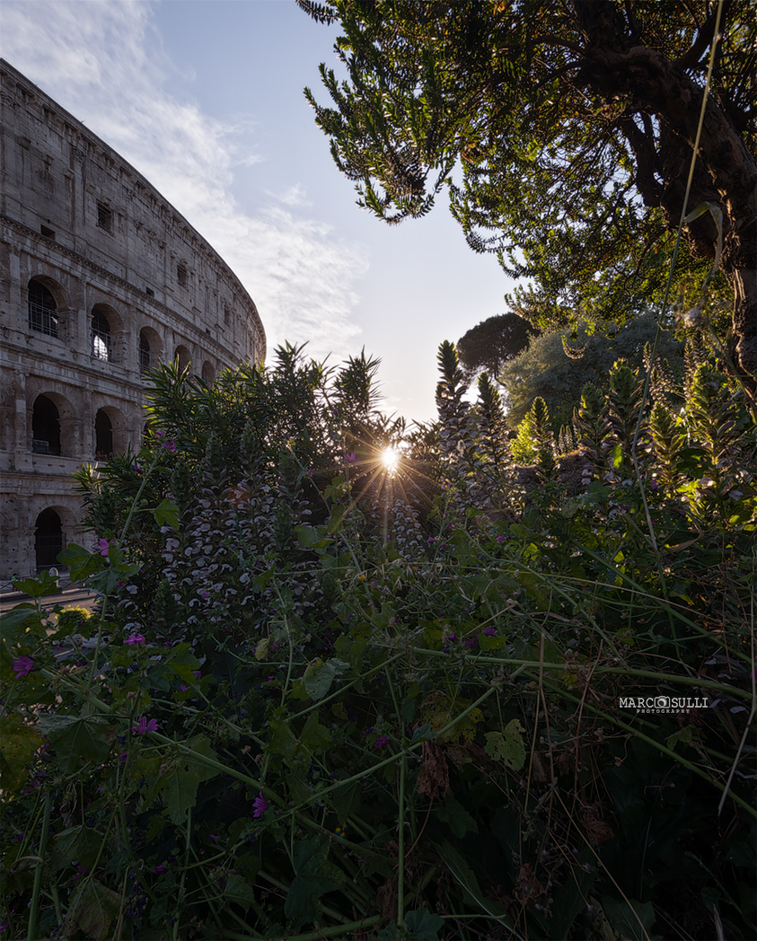 colosseo