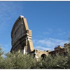 Colosseo II