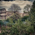 "Colosseo verde"