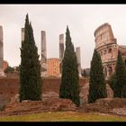 Colosseum