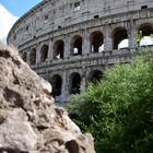 Colosseum 17