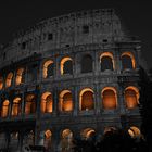 Colosseum - CK