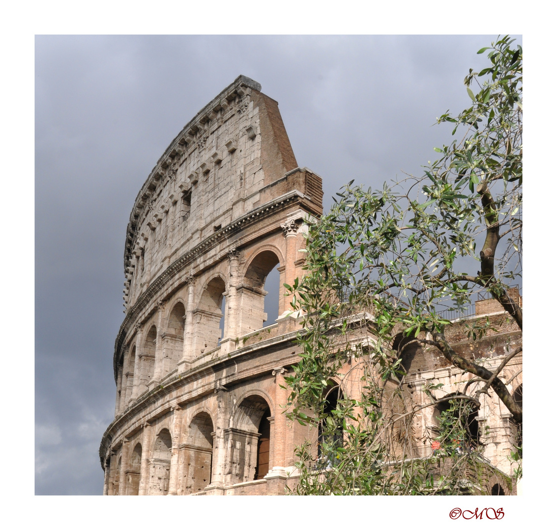 Colosseum mediterrane