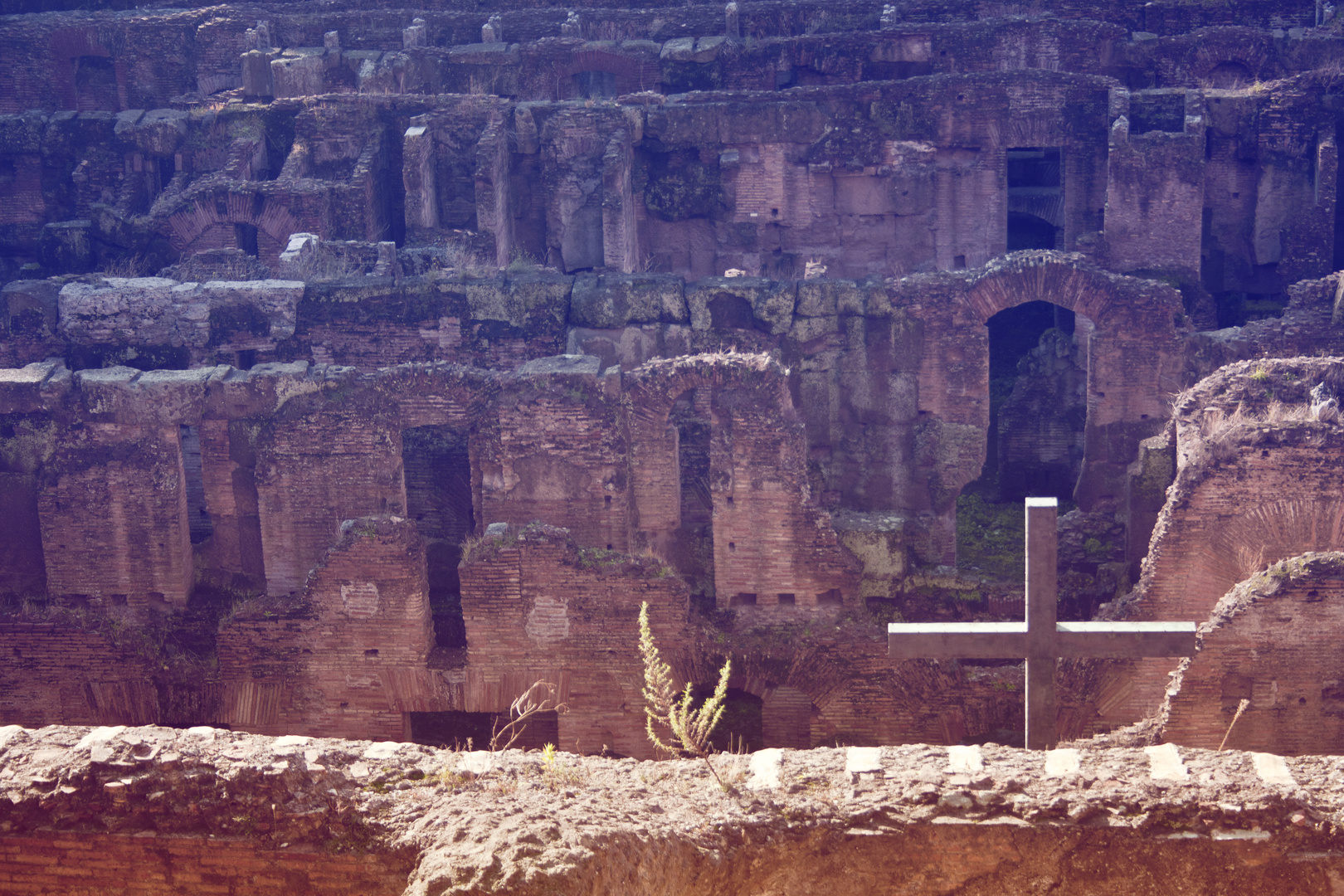 Colosseum Unterirdisch und Kätzchens Heim