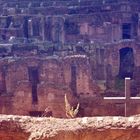 Colosseum Unterirdisch und Kätzchens Heim