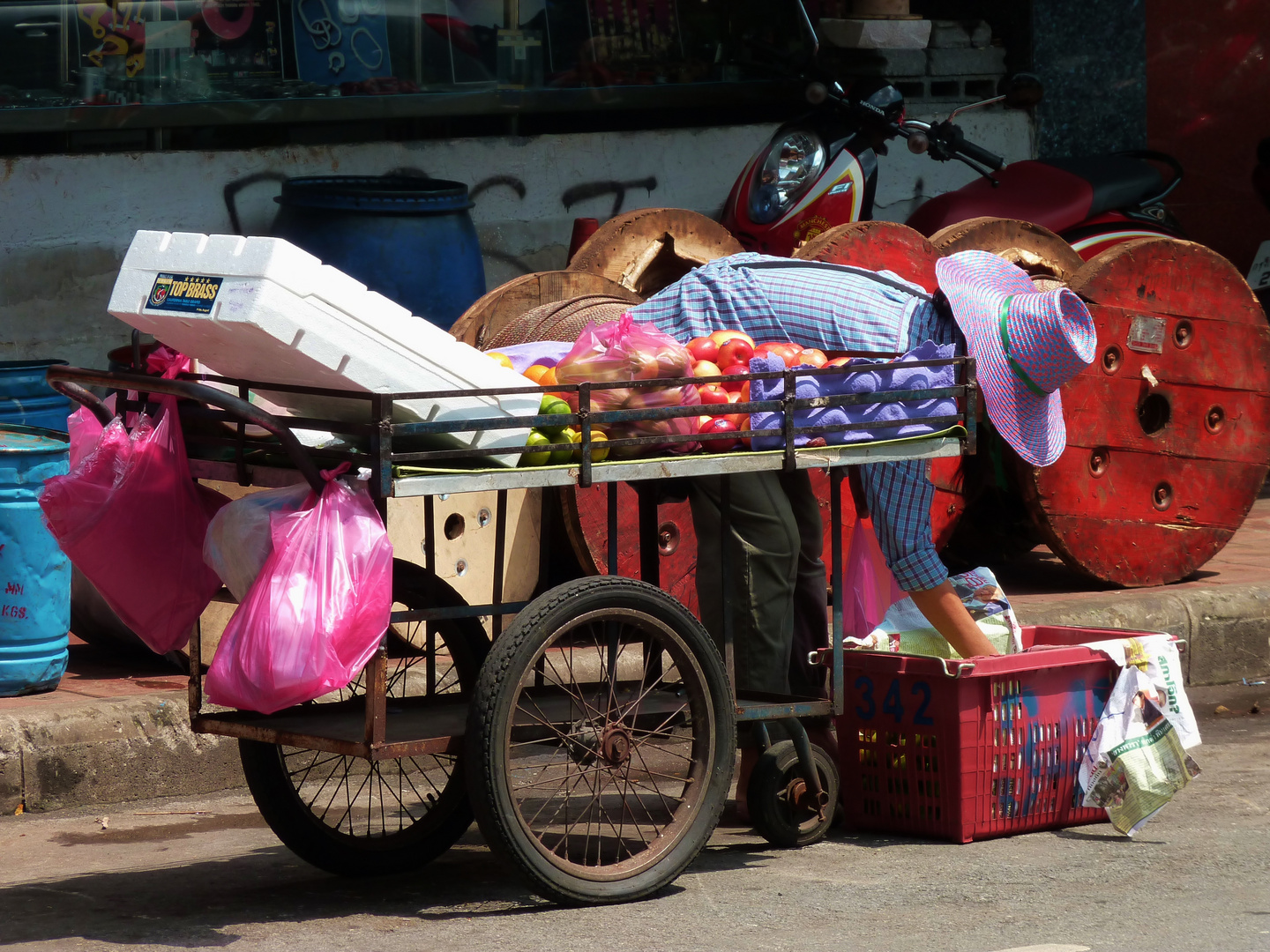 colour of thai life