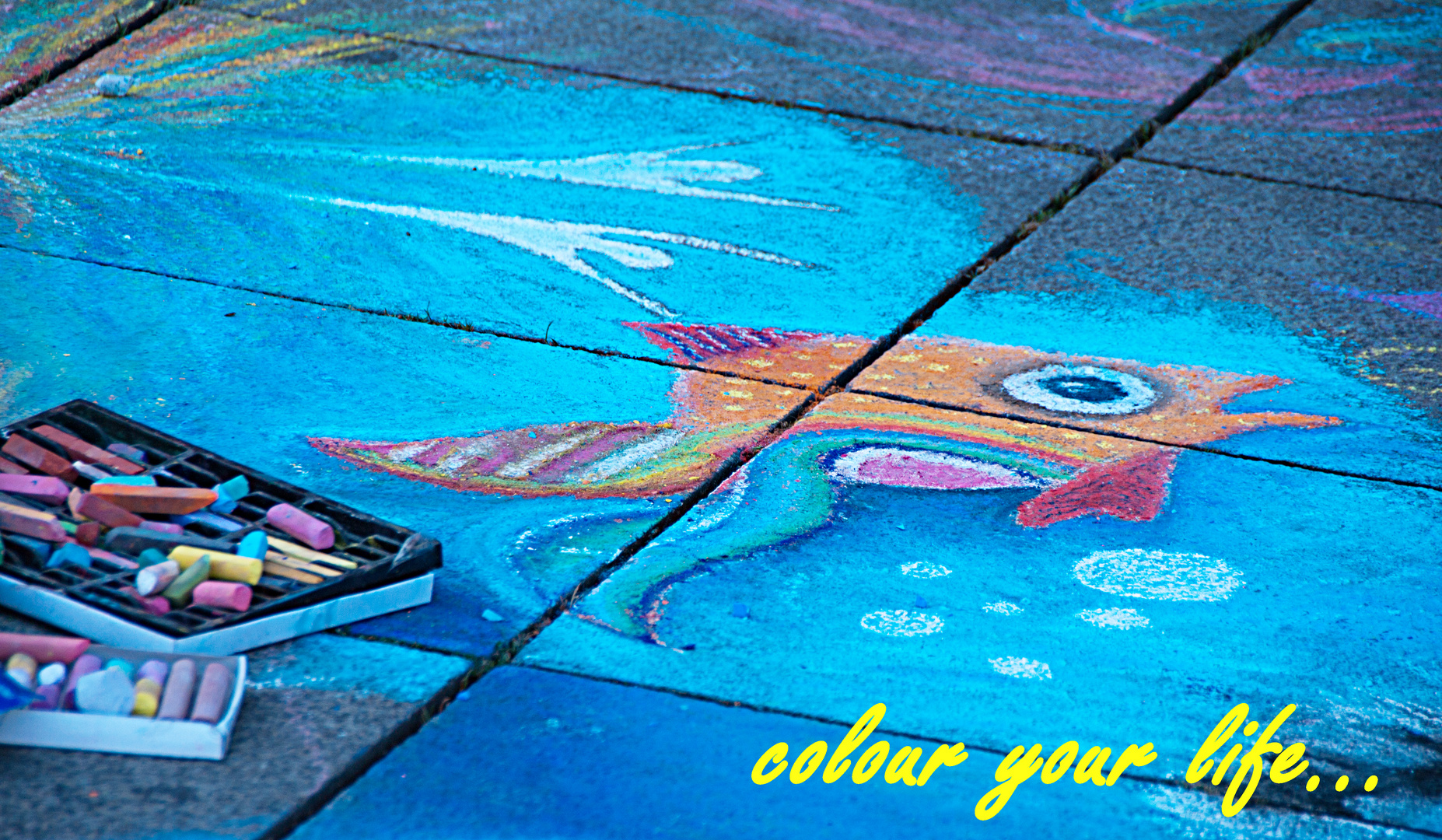 colour your life...