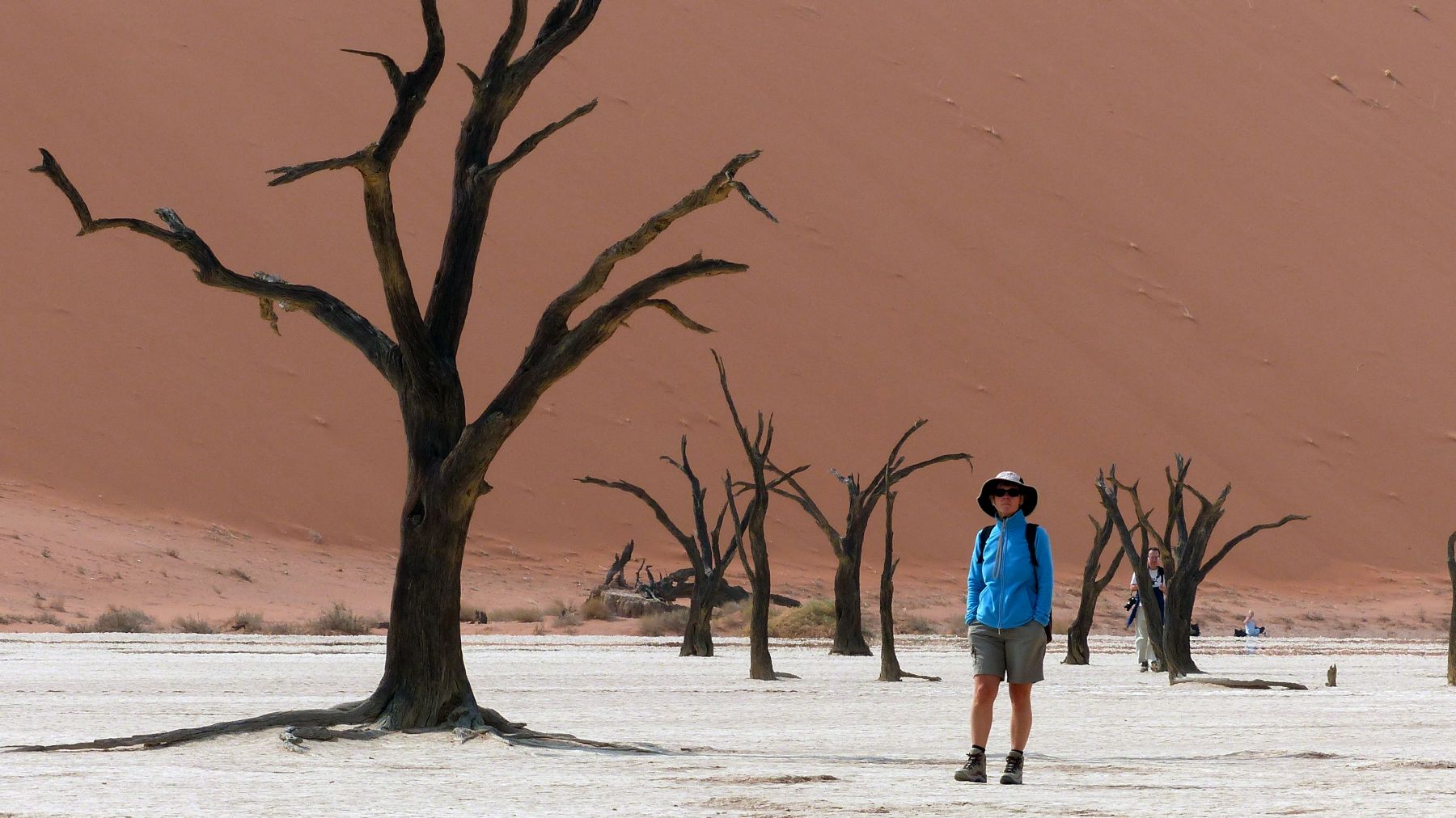 Coloured Dead Vlei