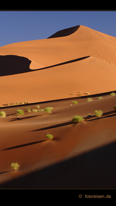 coloured dune