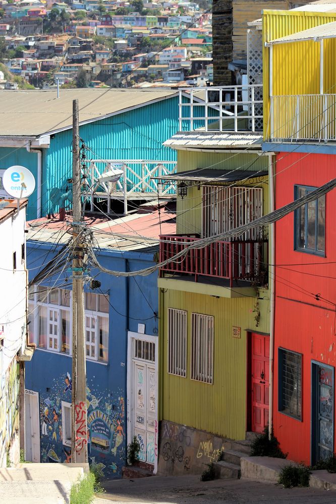 Coloured Houses