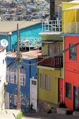 Coloured Houses