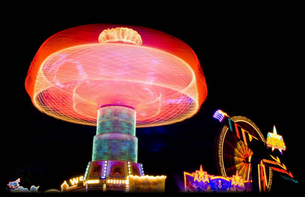 coloured mushroom