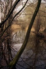 coloured waterreflections