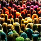 coloured wigs