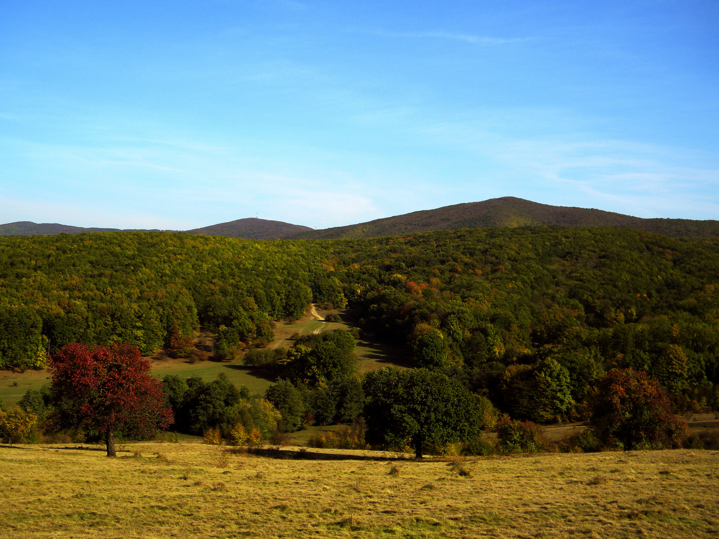 colourful autumn