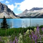 Colourful Bow Lake