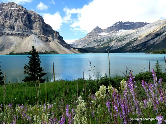 Colourful Bow Lake
