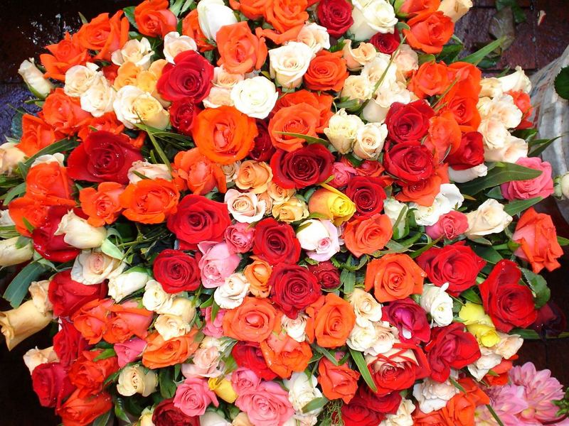 Colourful Bunch of Roses at Cape Towns Flower Market