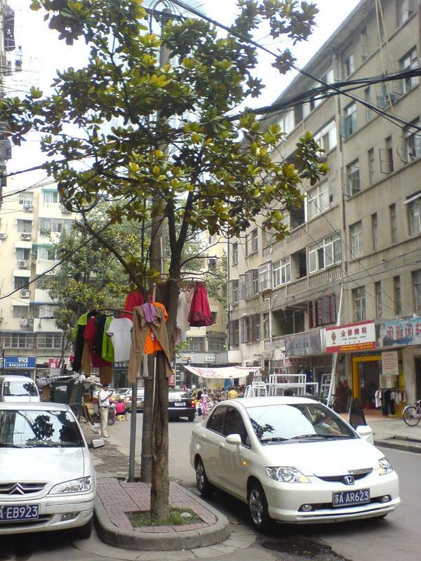 colourful fruits